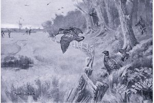 işaret-horoz by Frank Southgate